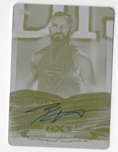 Bobby Fish 2020 Topps WWE NXT giallo autografo stampa targa card 1/1 - Foto 1 di 2