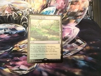 Mtg Windswept Heath Near Mint (B3) - Image 1 of 2