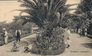 Postal vintage cuadrada de Argelia EL Milia 07,25 - Imagen 1 de 2