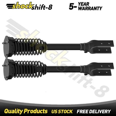 Conjunto de puntal delantero y resorte helicoidal para Mercedes-Benz ML63 AMG 6,3 L 2007-2011 Foto 1 de 2