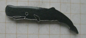 POTTWAL .................................................... Tier Pin (119j) - Bild 1 von 1