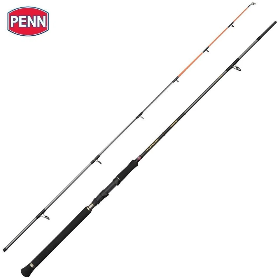 Penn Regiment IV Spin/Pilk Rod 2,40 m/100-250 g Foto 1 de 4