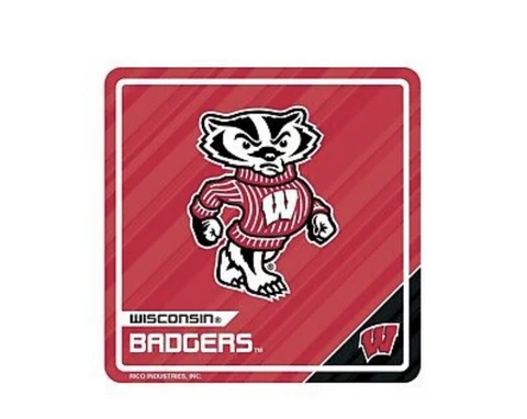 NCAA Wisconsin Badgers Sport 3D Magnet Wooden Cover