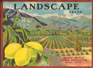 *Original* LANDSCAPE *EARLY* STONE LITHO *RARE* Lemon Crate Label NOT A COPY - Picture 1 of 2