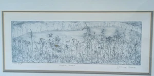 Joanne Isaac Artist's Proof Etching Winter Weeds Print Signed Silver Frame 26x15 - Picture 1 of 12