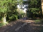 Photo 6x4 Badminton, Bath Verge Former coach road from the Bristol and Ba c2011