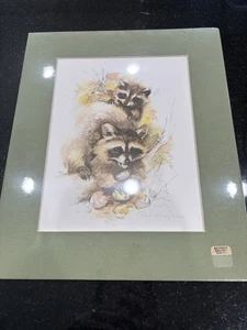 Paul Whitney Hunter Waschbär Druck 12” x 10” NEU mattiert & versiegelt  - Bild 1 von 5