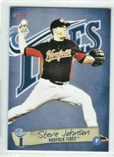 2014 Norfolk Tides (Triple-A Baltimore Orioles) Steve Johnson