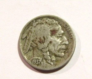 US 1937-P Buffalo Indian Nickel 5c Coin - Picture 1 of 4