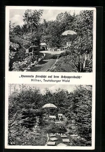 AK Hilter /Teutoburger Wald, Hummels Fernsicht auf dem Schoppenbusch, Mehrfacha - Picture 1 of 2