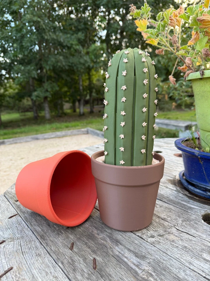 Jeu échecs se transforme en forme de cactus, Impression 3D, Décoration et jeux - Photo 1/3