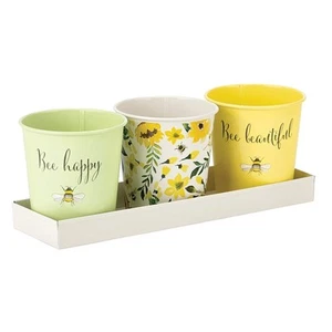 3x Tableware Windowsill Planter Herb Kitchen Garden Plant Flower Pots & Tray Tin - Picture 1 of 7