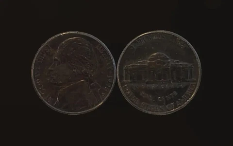 1996 D Black Beauty Nickel Cover