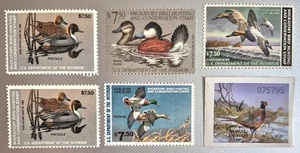 5 VTG US Federal Duck Hunting Waterfowl Stamps 1981-84 MNHOG & 92 Pheasant Stamp - Picture 1 of 11