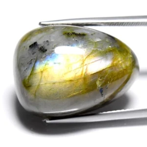 π Big! 32.45ct Pear Natural Rainbow With Luster Labradorite - Africa Gem - Picture 1 of 10