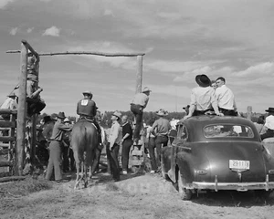 Cowgirls And Cowboys Rodeo Photograph Vintage Western Ranch Montana 1941 8x10 - Picture 1 of 2