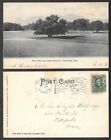 1932 Massachusetts Postcard - Pittsfield - Springside Park  