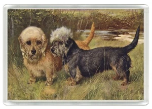 DANDIE DINMONT TERRIER TWO DOGS DOG ART PRINT NOVELTY FRIDGE MAGNET GREAT GIFT - Bild 1 von 1