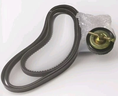 Kit de polea tensora con 3 correas para Kia Rio Rio5 2006-2011 1,6 L G4ED  Foto 1 de 4