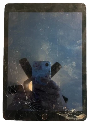 Apple iPad Air 2 A1566 per riparazione o ricambi *Solo parti - Immagine 1 di 2