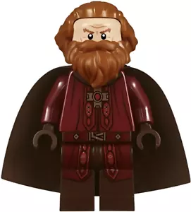 LEGO Godric Gryffindor Minifigure Harry Potter Hogwarts Castle 71043 NEW hp159 - Picture 1 of 1