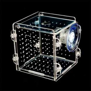 Small Aquarium Acrylic Fish Bowls Tank Breeding Isolation Box - Picture 1 of 2