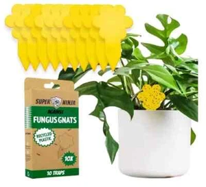 10 Traps Super Ninja Fungus Gnat Killer: Ecological and Highly Effective-D - Picture 1 of 5