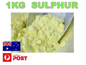 PURE PREMIUM SULFUR POWDER 1KG 99.99% HIGH QUALITY SULPHUR *FREE SHIPPING* - Picture 1 of 8