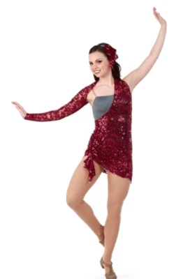 Hold My Heart Adulto XL Disfraz de Baile Lírico Borgoña Túnica Sobre Leotardo GRIS Nuevo Foto 1 de 4