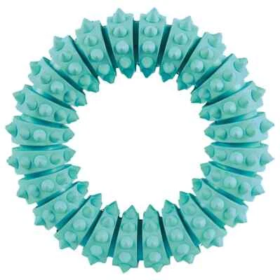 Denta Fun Ring Minzgeschmack Naturgummi Zahnfleisch Hunde Zähne Spielzeug - Bild 1 von 3