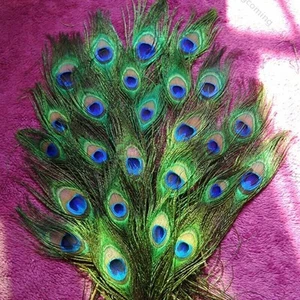 10x Pfauenfedern Schwanzfedern DIY Handwerk Federn Pfau Bastel Bastelmaterialien - Bild 1 von 8