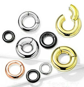 Large Gauge Hinged Clicker Segment Ring PVD Surgical Steel Earring Septum Ring