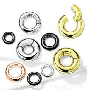 Large Gauge Hinged Clicker Segment Ring PVD Surgical Steel Earring Septum Ring - Picture 1 of 10