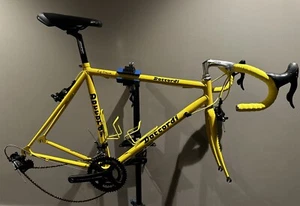 Daccordi Bike Frameset. New Campagnolo 11 Spd Groupset. Wheels Not Included. - Picture 1 of 19