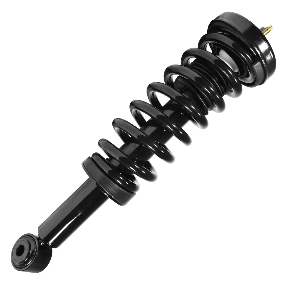 Front Complete Strut Assembly for 2009-2012 Ford F-150 Foto 1 de 1