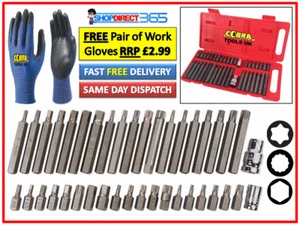 NEU 40 STÜCK TORX STAR SPLINE SECHSKANT STECKSCHLÜSSEL BIT SET WERKZEUG KIT GARAGE AUSRÜSTUNG 4-15 - Bild 1 von 3