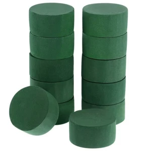 10Pcs Wedding Aisle DIY Craft Floral Arrangement Water-Absorbing Home Garden Gre - Picture 1 of 13