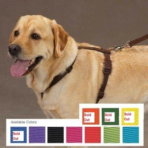 Nylon Dog Harnesses by Zack & Zoey in 7 Colors 4 sizes - Picture 1 of 12