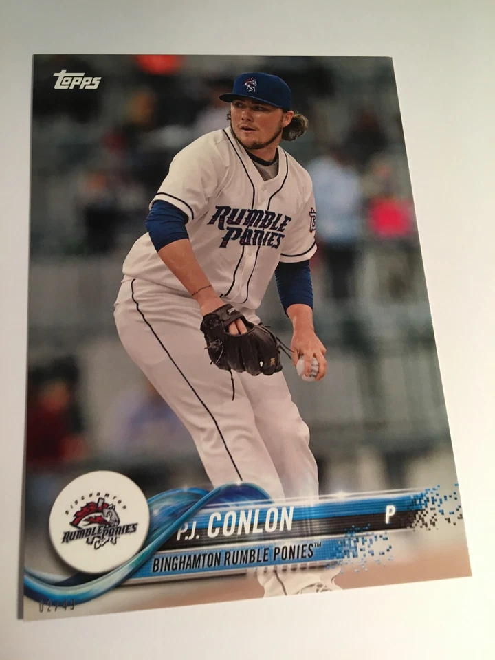 2018 Topps Pro Debut Jumbo 5x7 P.J. Conlon Rumble Ponies 28 02/49 - Image 1 of 1