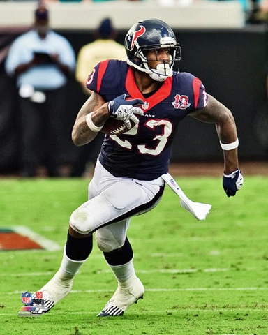 ARIAN FOSTER Houston Texans 2012 Action Premium NFL 16x20 POSTER Print Cover
