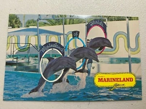 MARINELAND ST AUGUSTINE FLORIDA POSTCARD - Imagen 1 de 2