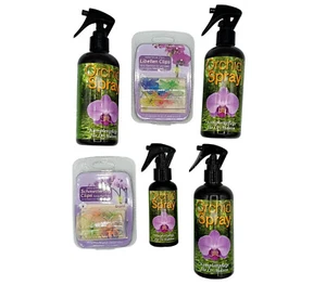 raupir Starterset Orchideen Orchid Spray mit Clips Libellen Schmetterlinge - Bild 1 von 7