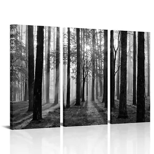 Visual Art Decor 3 Pieces Black and White Forest Wall Art Foggy Forest Pictur... - Picture 1 of 5