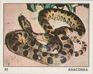 Top Sellers Card - Animals of The World - Card No 23 - Anaconda Snake - Picture 1 of 2