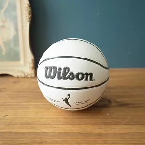 Wilson WNBA Basketball Autograph Mini Ball Size 3 Collectors Basketball White - Picture 1 of 5