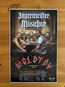 Póster de concierto Molotov Jagermeister Music Tour 2013 Rock Español 11x17 nuevo - Imagen 1 de 5