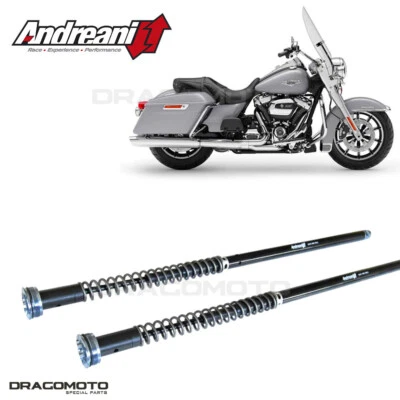 Harley-Davidson FLH / FLT Touring CVO (cerchio da 21") 2013-2020 cartucho AN... Foto 1 de 4