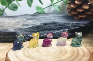 5 piezas Fluorita Natural Tallado Mini Gato Cristal Cuarzo Cristal Reiki Decoración Curativa - Imagen 1 de 6