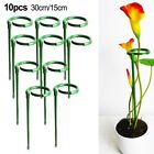 Green Glass Fiber Plant Support Stakes for Orchids and Succulents 10 Pack