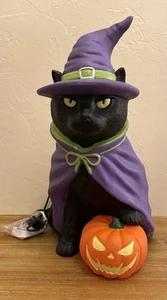 Cracker Barrel Black Cat Witch Blow Mold 2 Ft Halloween 2025 - Picture 1 of 8